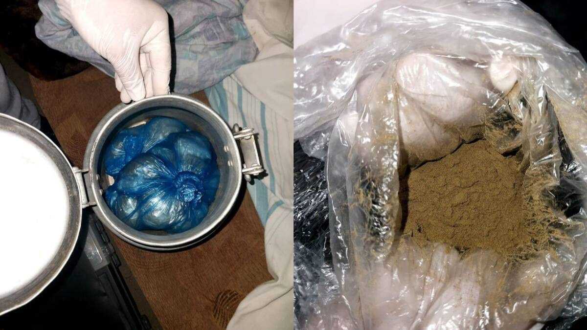 Канал поставки наркотиков ликвидировали в Павлодарской области