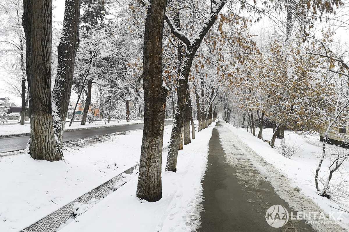МВД обратилось к казахстанским водителям в связи с приближением зимы