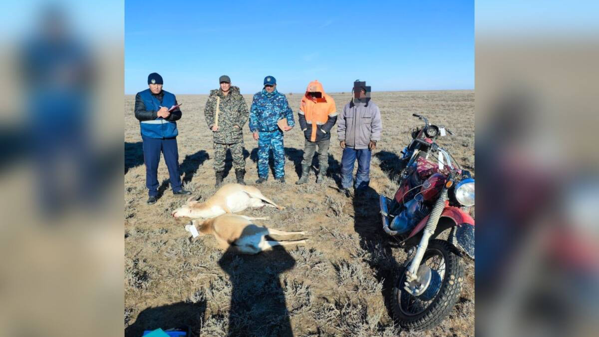 Двоих браконьеров задержали в степях Актюбинской области