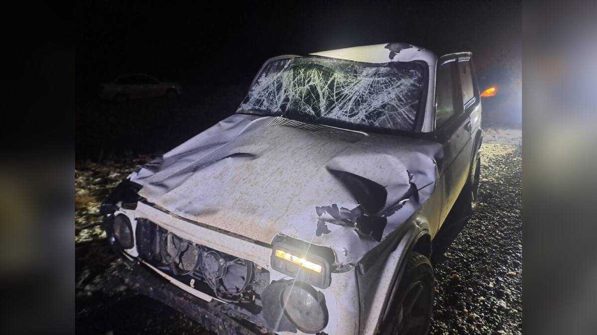 Лошадь спровоцировала ДТП на трассе в Павлодарской области