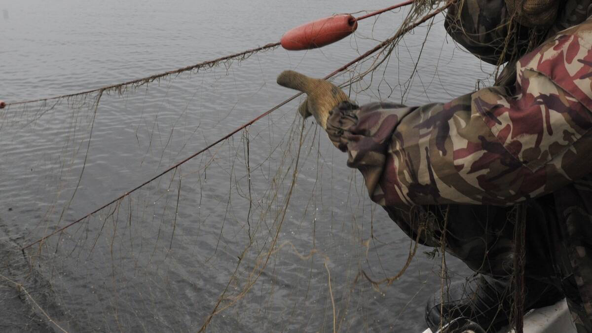 Двух рыбаков с 350 кг рыбы задержали на Бухтарминском водохранилище