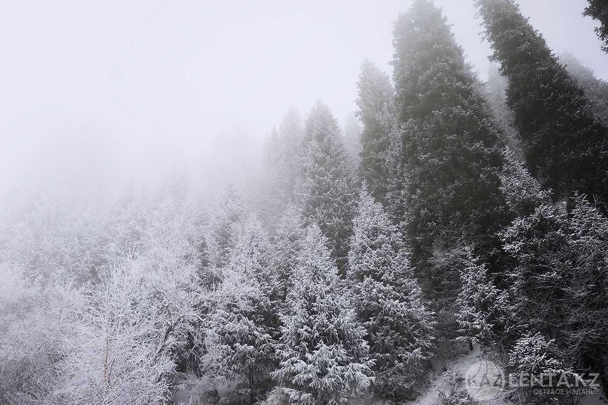 Снег, гололед, туман: в Алматы и 16 областях Казахстана объявлено штормовое предупреждение