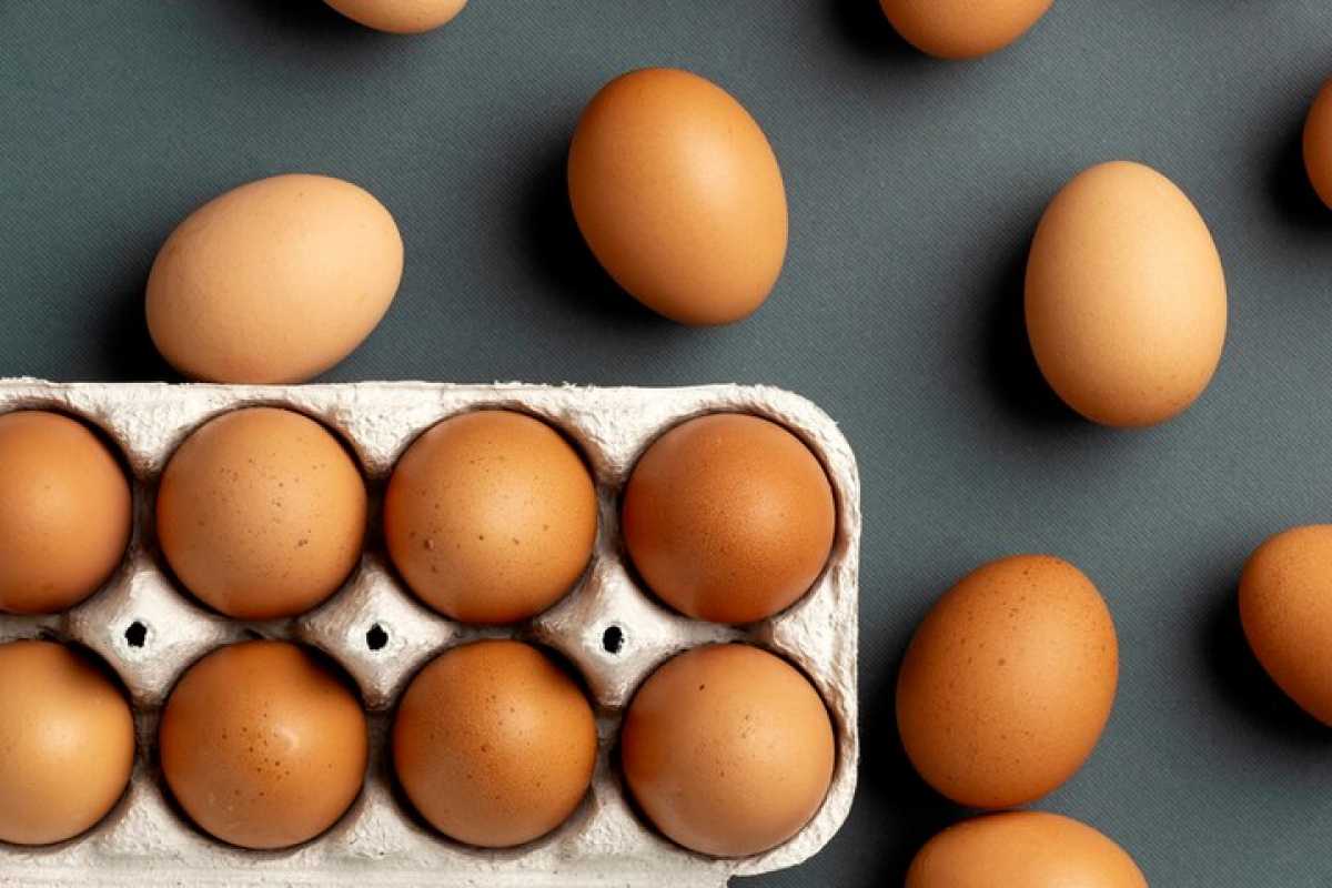 В Казахстане могут подорожать яйца и мясо курицы