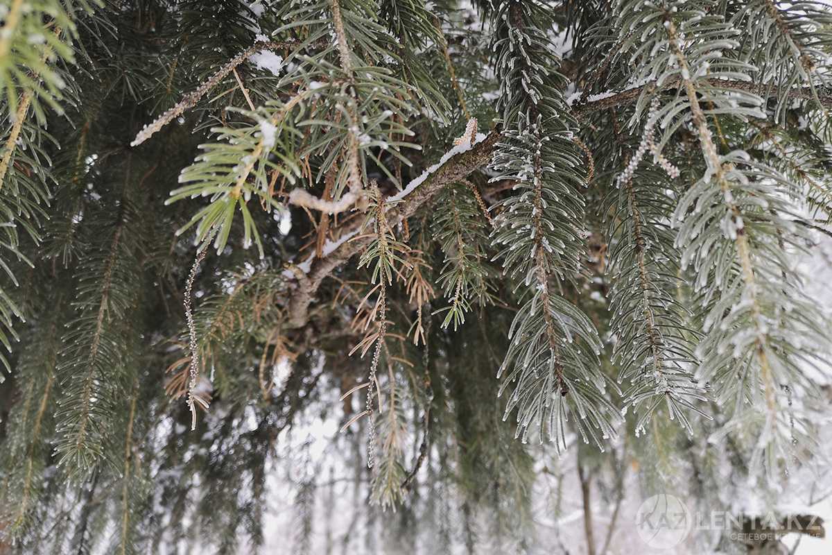 Снег, туман и гололед: в 11 областях Казахстана объявлено штормовое предупреждение