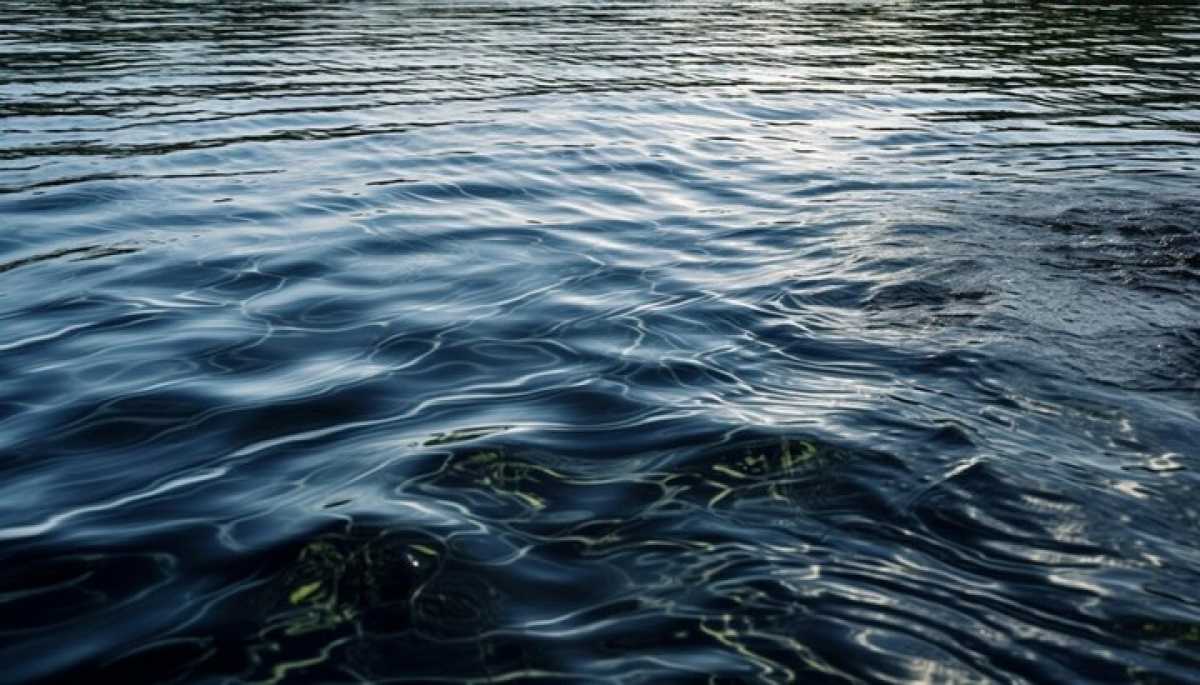 Новое водохранилище построят в ВКО