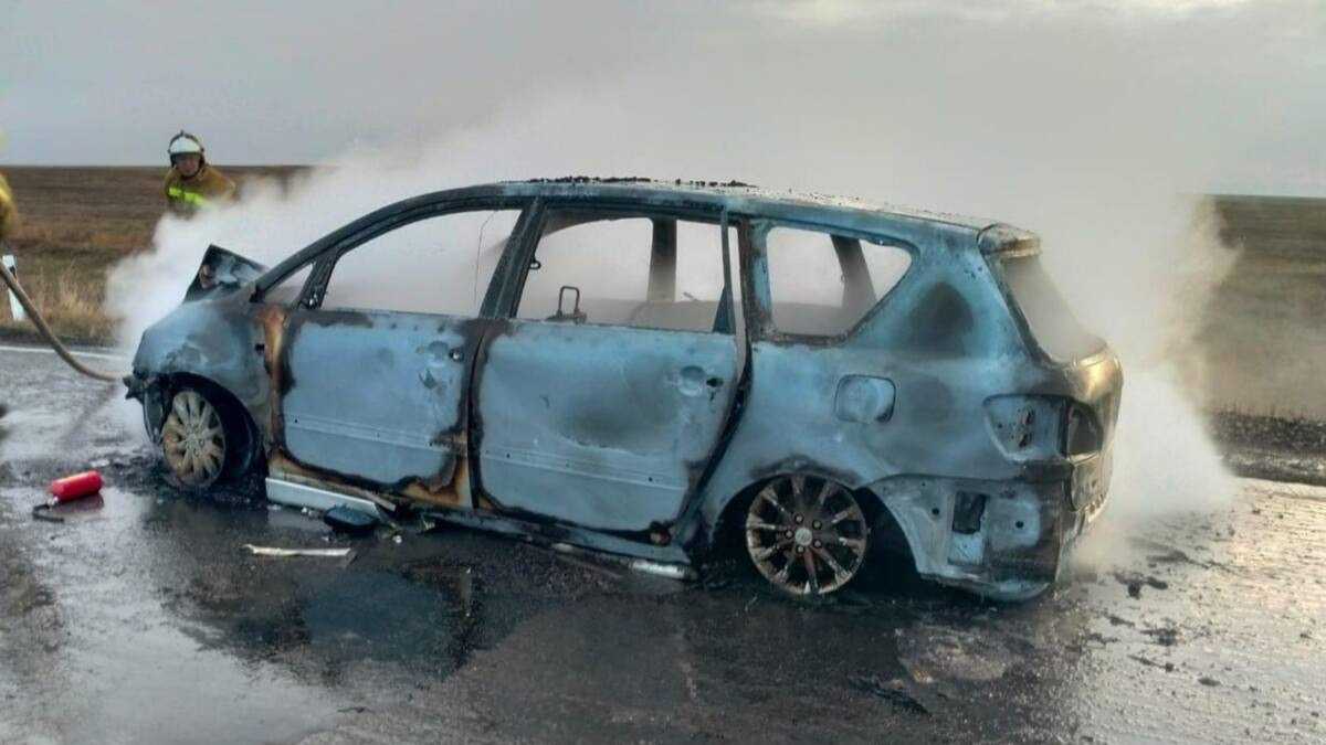 Авто сгорело после столкновения с коровой на трассе в Актюбинской области