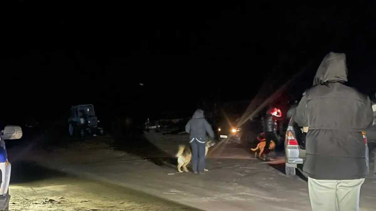 В Павлодарской области вторые сутки продолжаются поиски семилетней Миланы