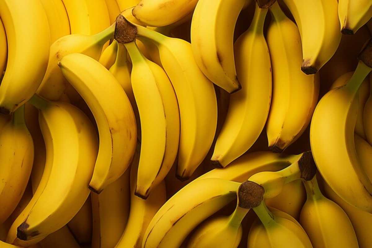 8 тонн бананов на 12,8 млн тг хотел купить детсад в Акмолинской области