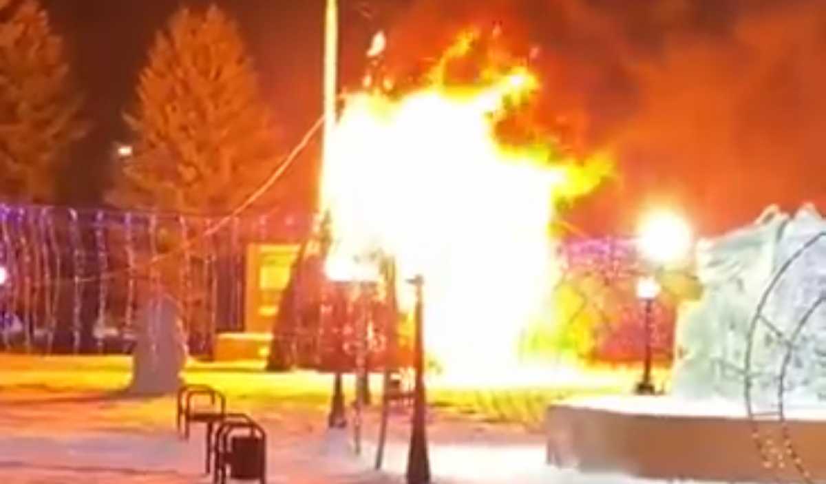Новогодняя ёлка сгорела в СКО