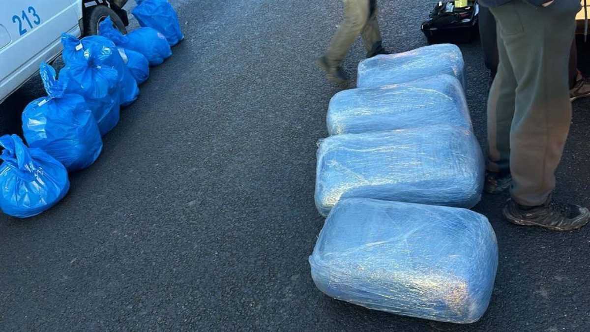 240 кг наркотиков изъяли у мужчины в Караганде