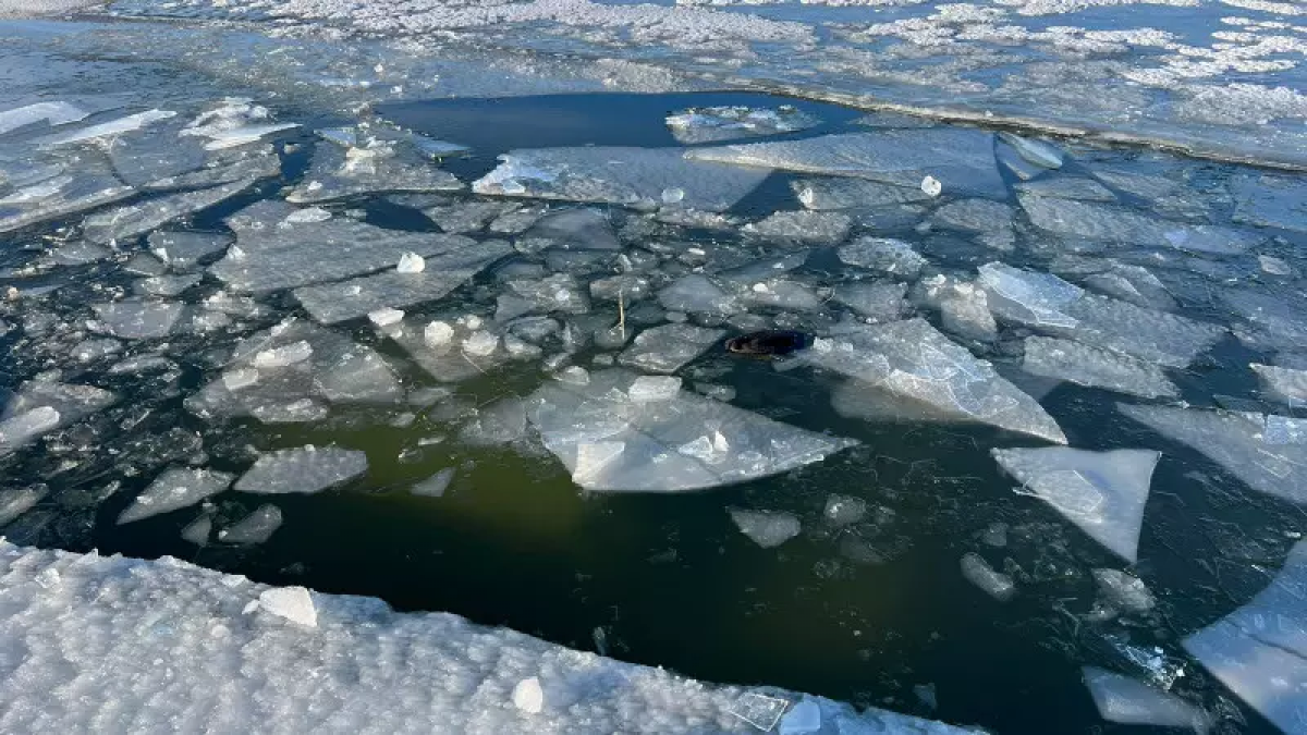 Автомобиль с людьми провалился под лёд в Актюбинской области