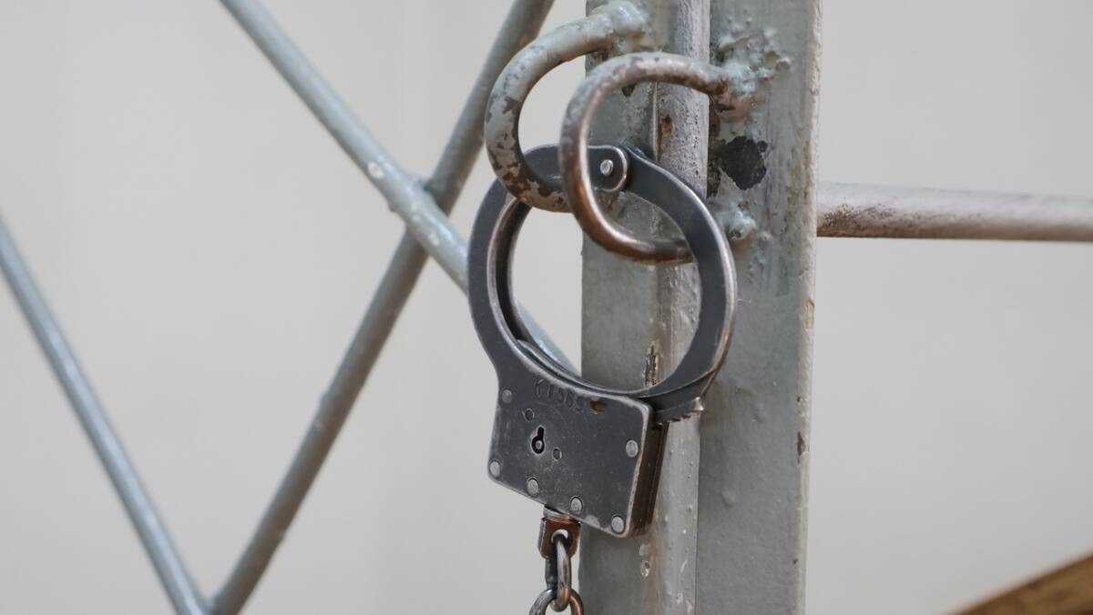 Разыскиваемого иностранца задержали в Павлодарской области