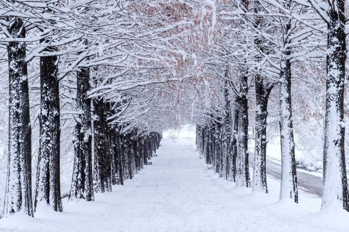 Снегопады и метели сменятся морозами в Казахстане