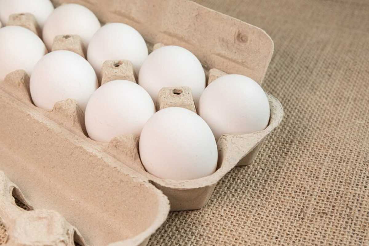 Яйцо по 55 тенге пообещали жителям Актау