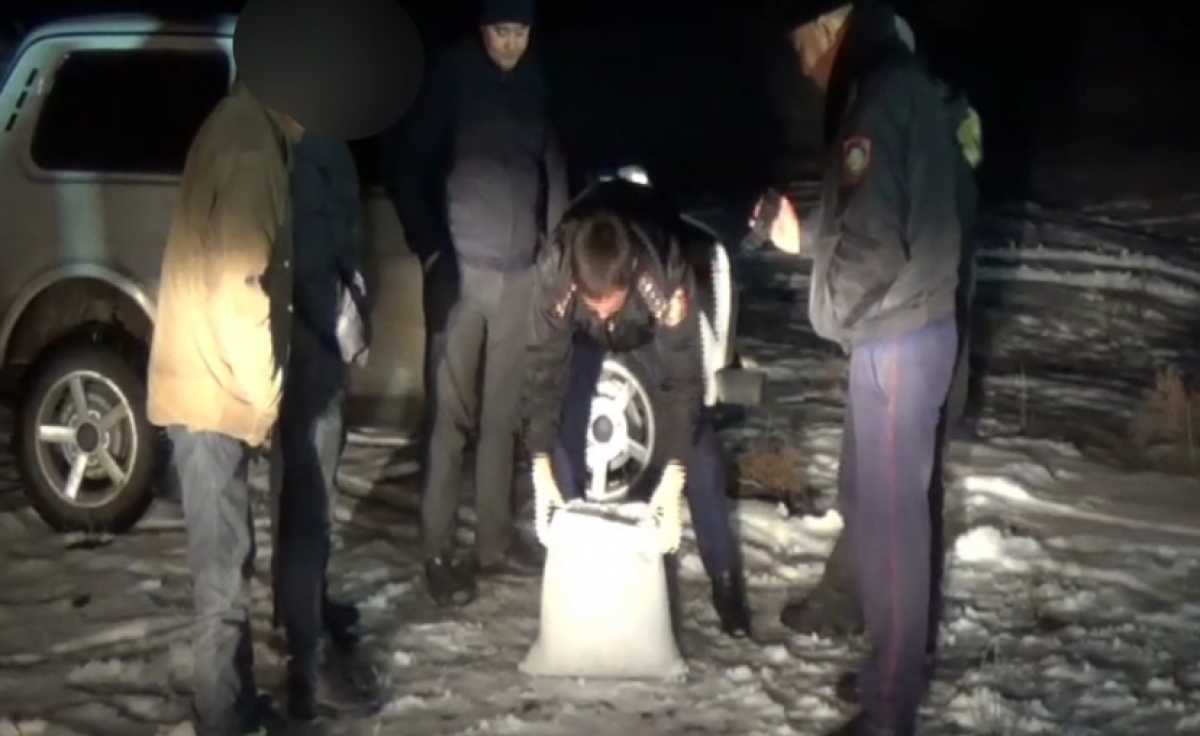 Выкапывал наркосодержащие растения из-под снега: мужчину задержали в Жамбылской области