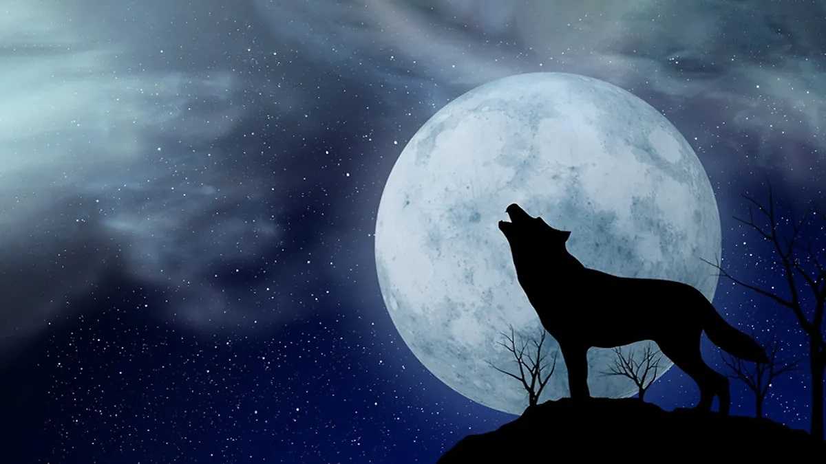 Волчья Луна 25 января: Чем опасно первое полнолуние високосного года
