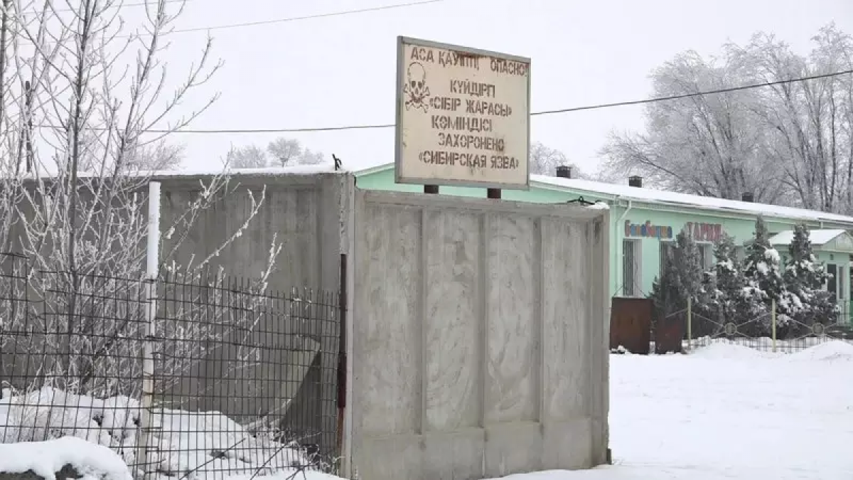 Более 80 источников сибирской язвы нашли в Алматинской области