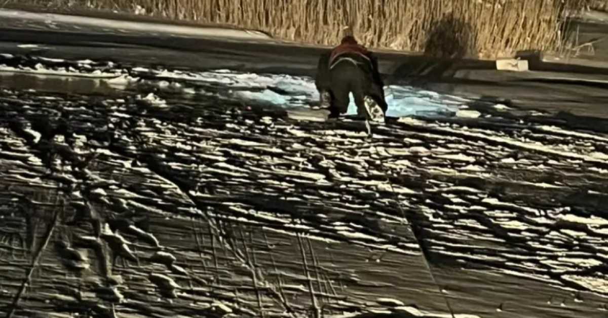 Водитель погиб, провалившись под лёд на машине в Карагандинской области