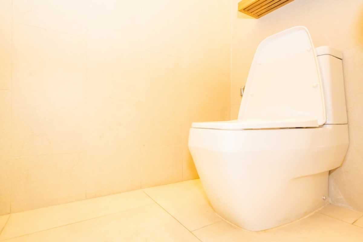 Почти 30 млн тг потратили на несуществующие туалеты для туристов в Жетысуской области