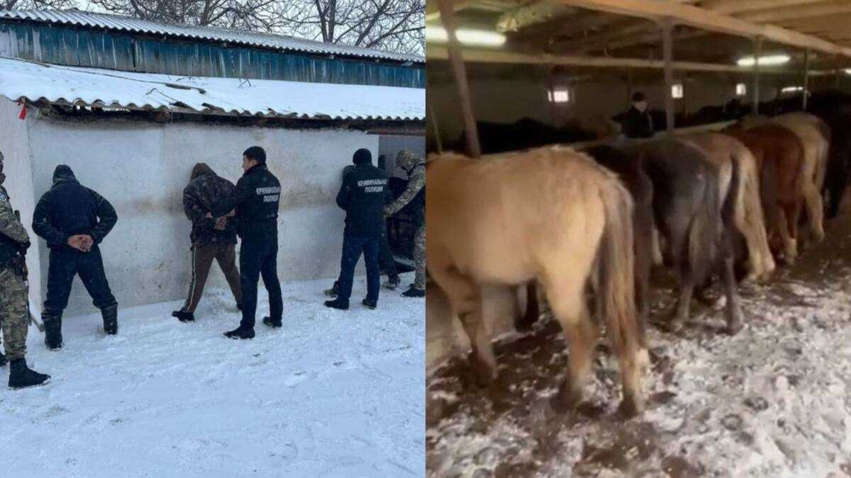 Подозреваемых в серии краж скота задержали в Туркестанской области