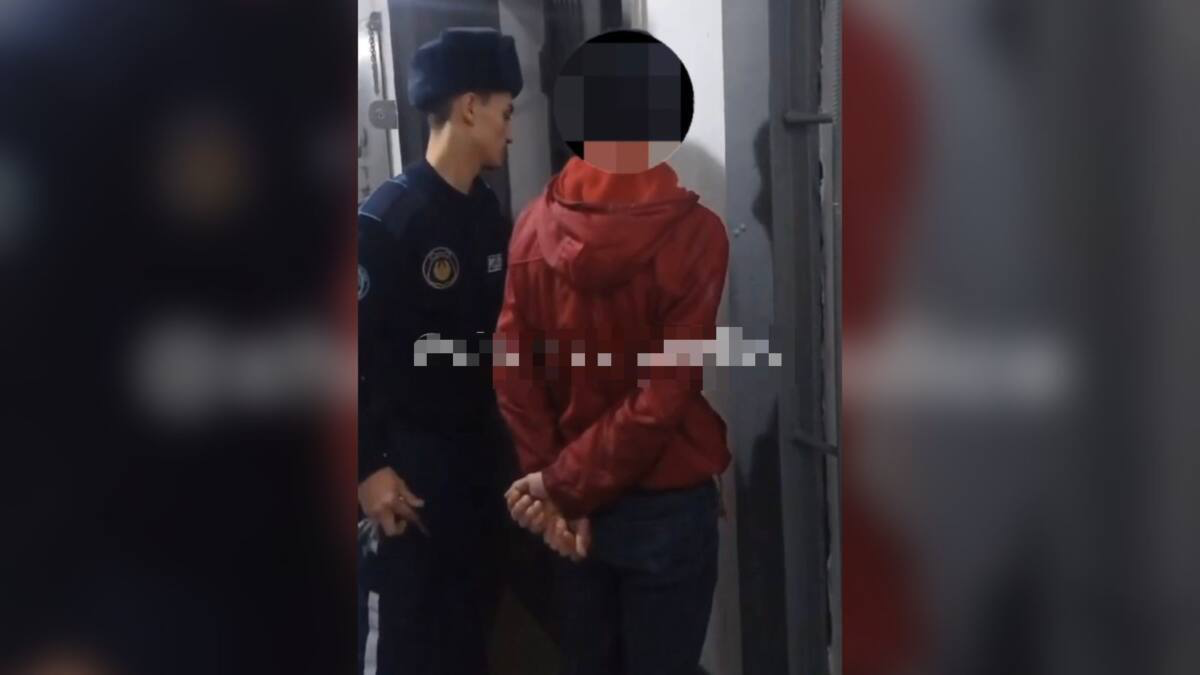 Пьяного иностранца на фуре задержали в Жамбылской области