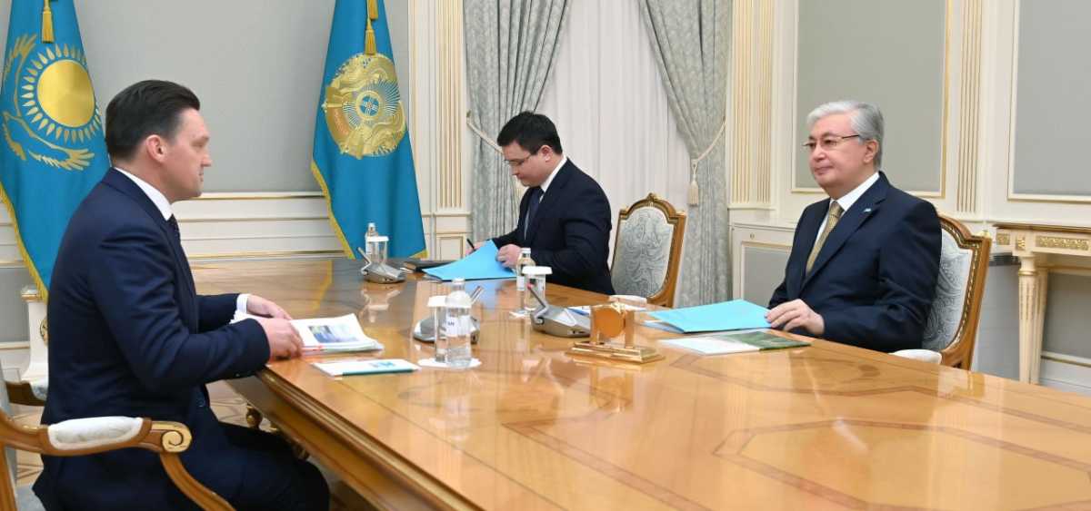 Токаев принял главу Евразийского банка развития