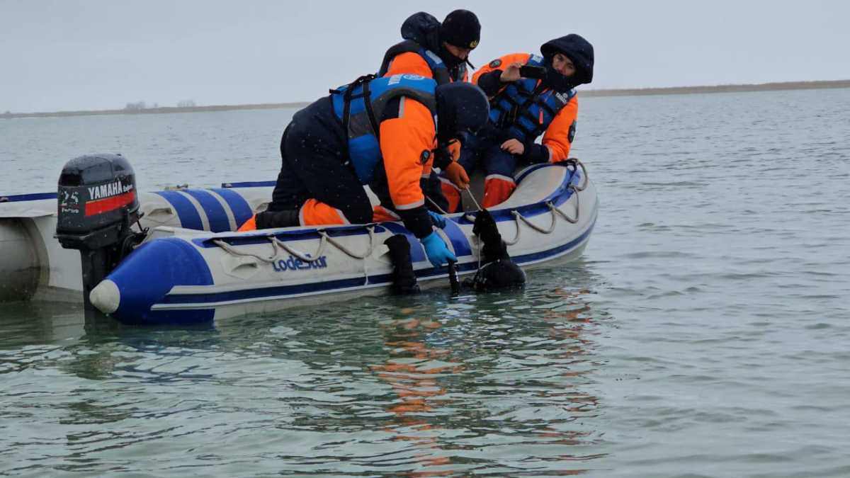 Тело пропавшего рыбака нашли на озере в Жамбылской области