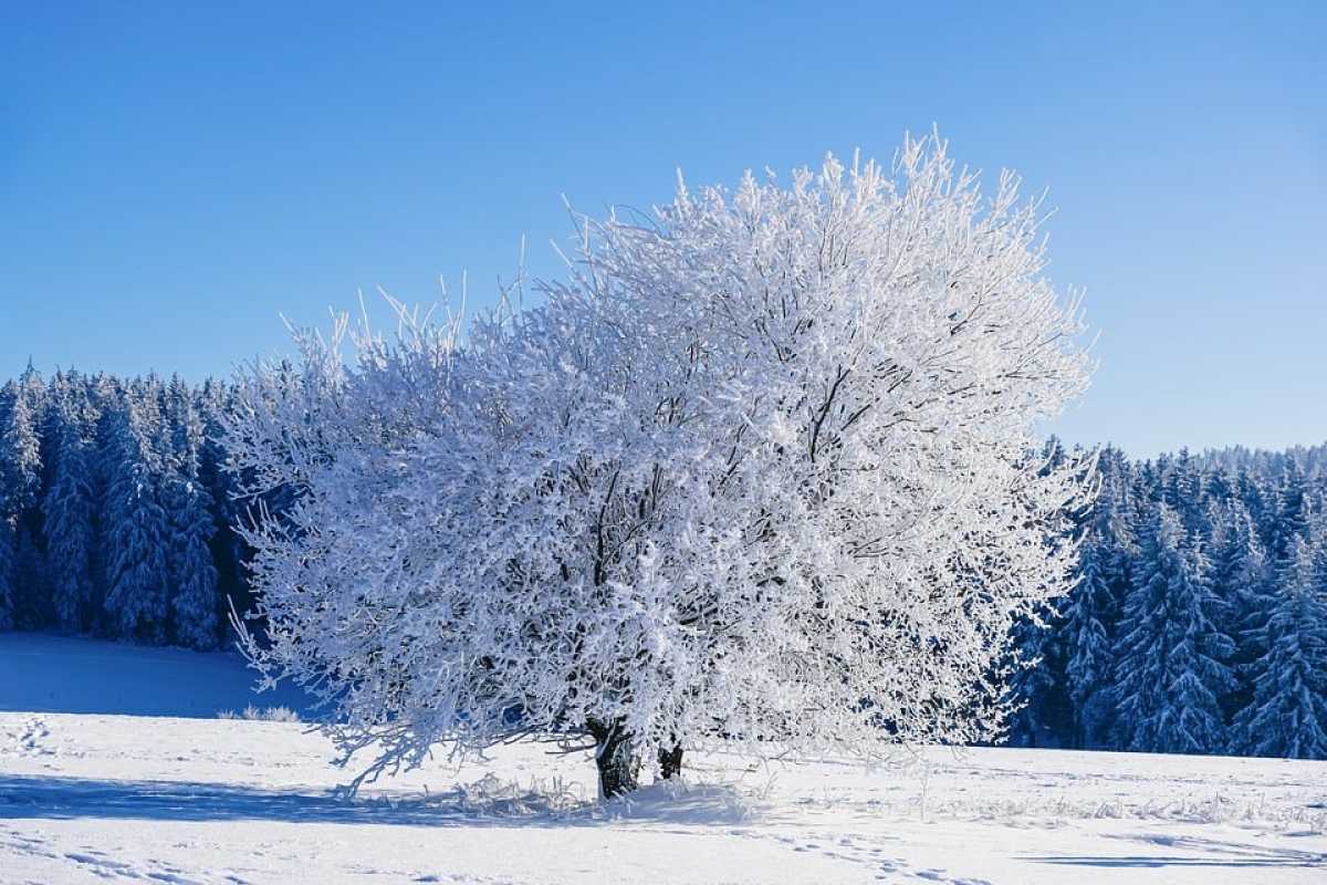 45-градусные морозы придут в Казахстан 19 февраля