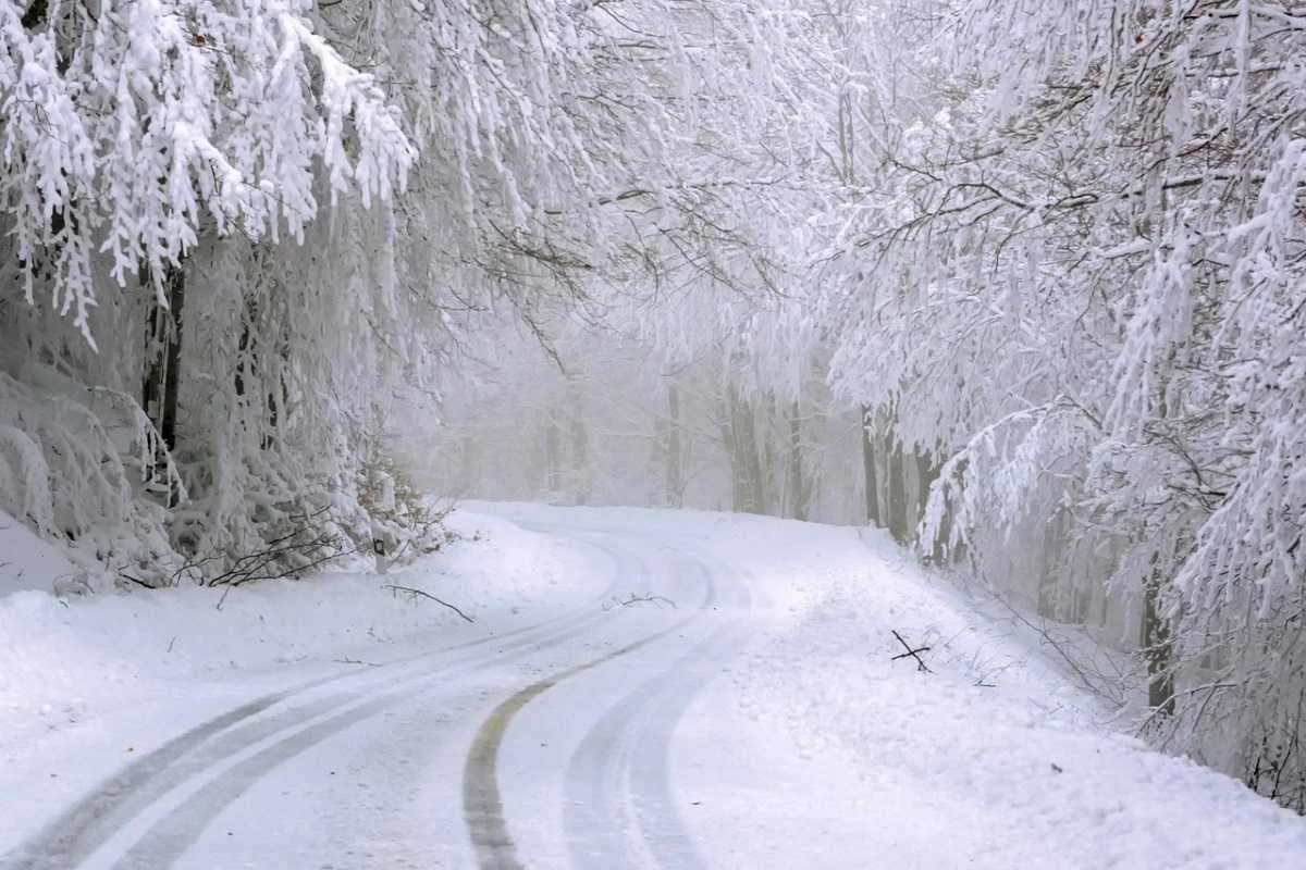 20 февраля можно. Россия зимой. Зима декабрь. Холод. Зимняя дорога.