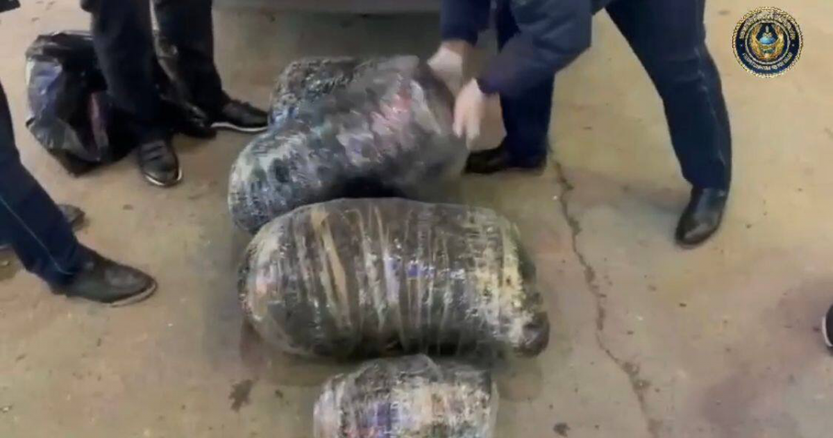 65 кг марихуаны изъяли в Туркестанской области
