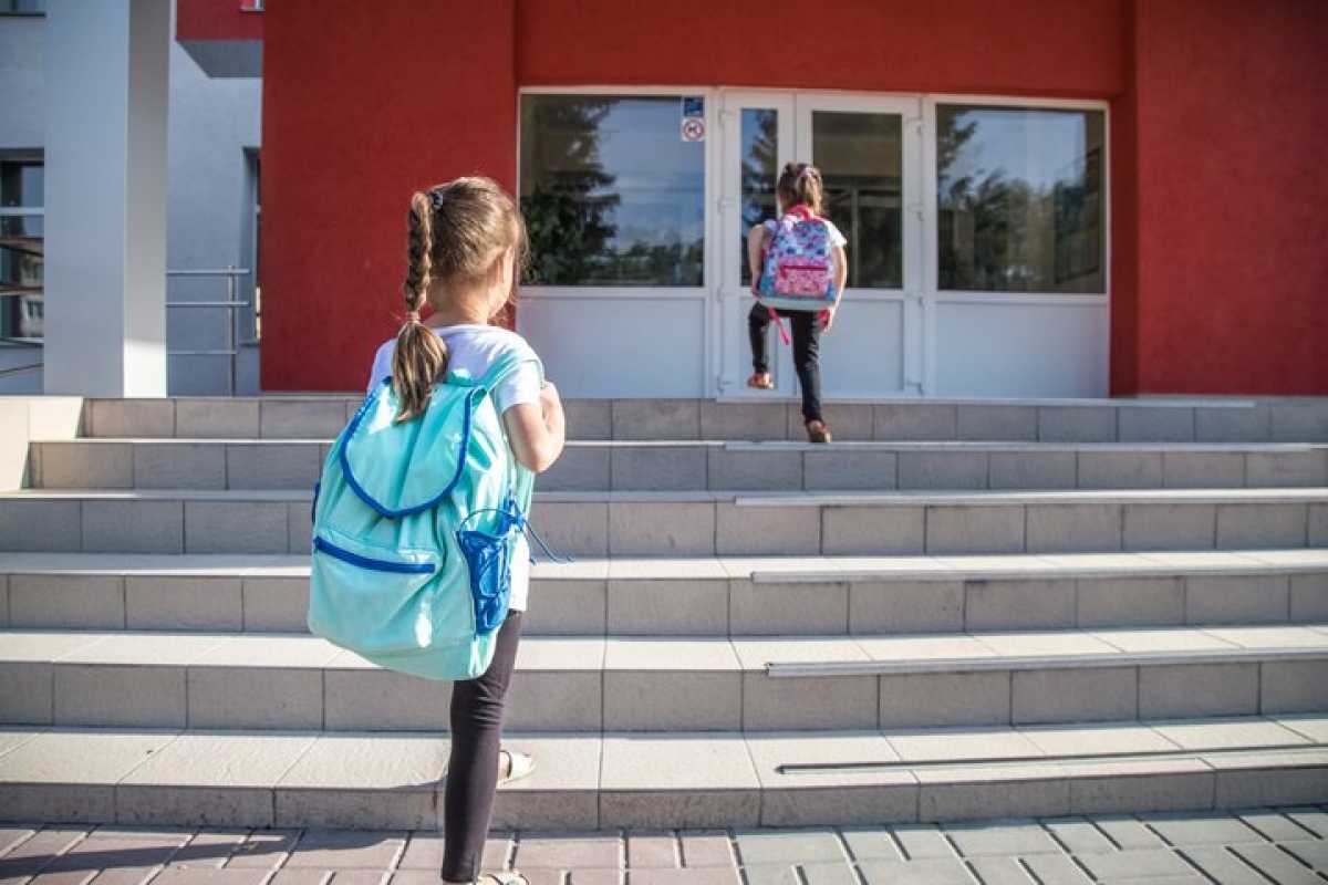 Сколько школ ввели в эксплуатацию в Казахстане за год