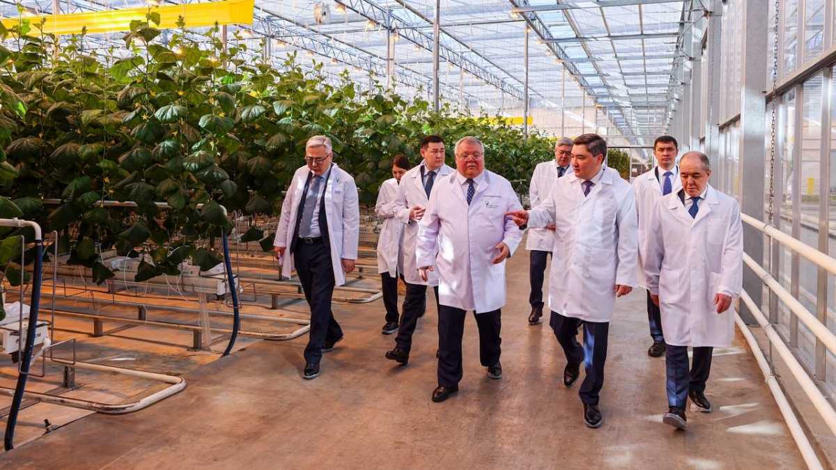 Премьер-министр РК проверил ход исполнения поручения Токаева по развитию сельского хозяйства в ЗКО