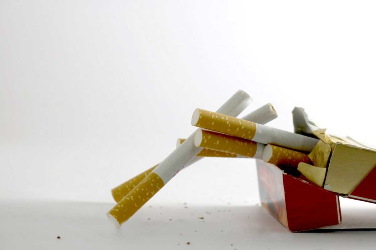 Табачные изделия на 19 млн тг уничтожили в Караганде