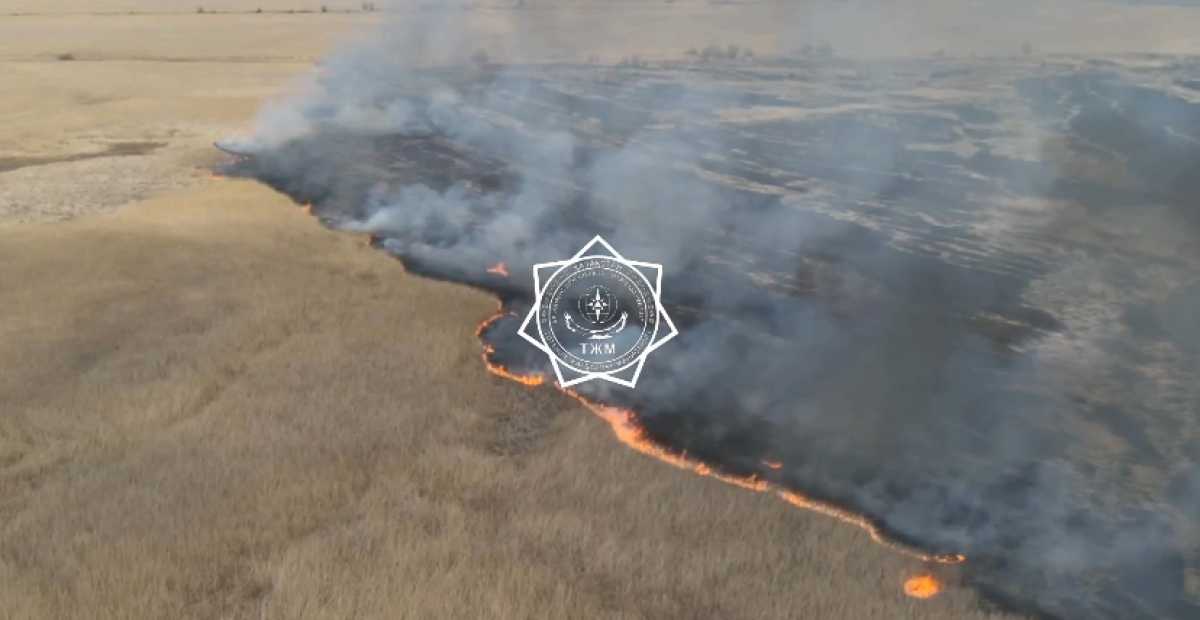 В Атырауской области продолжают тушить крупный природный пожар на побережье Каспия