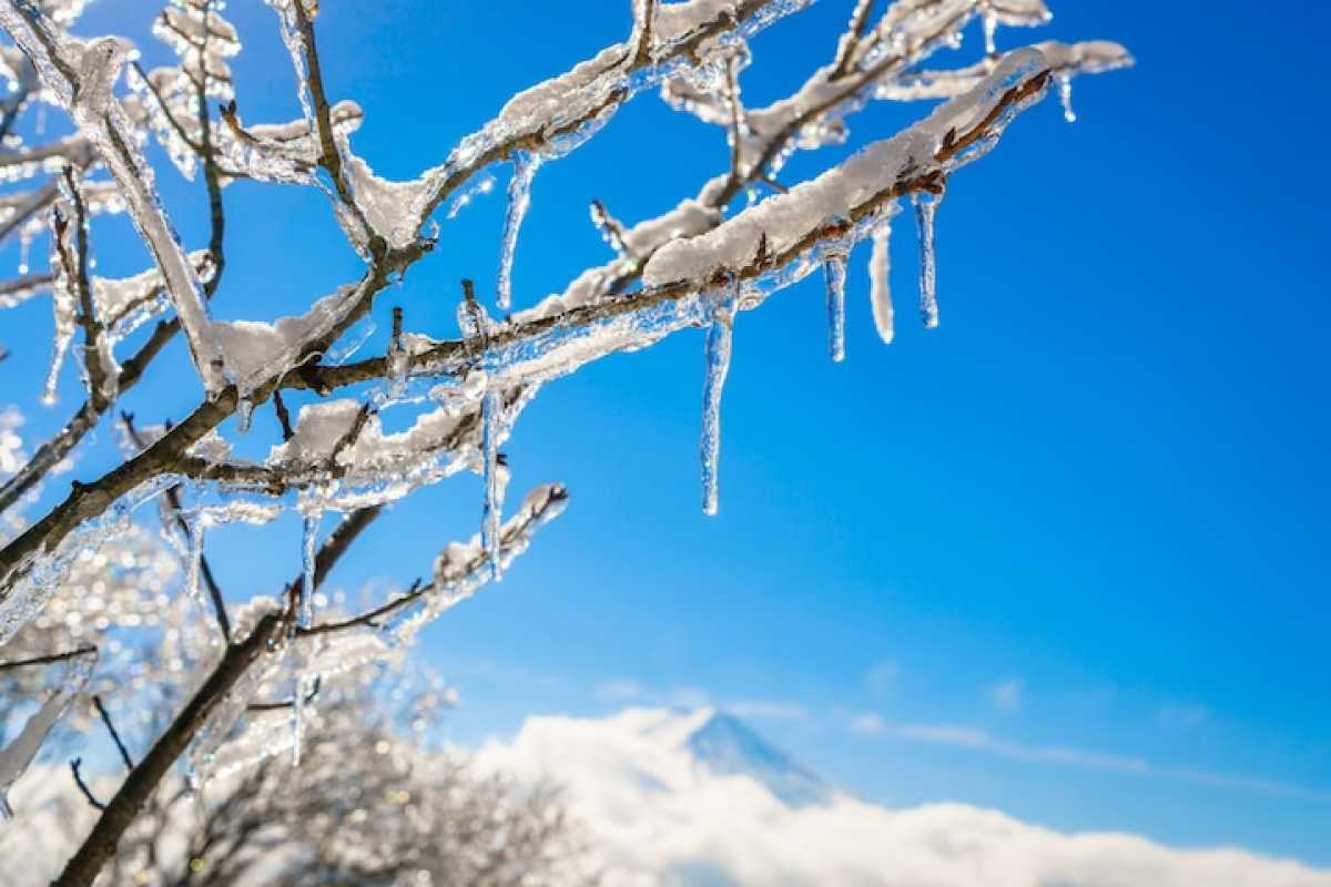 Морозная погода вернётся в Казахстан