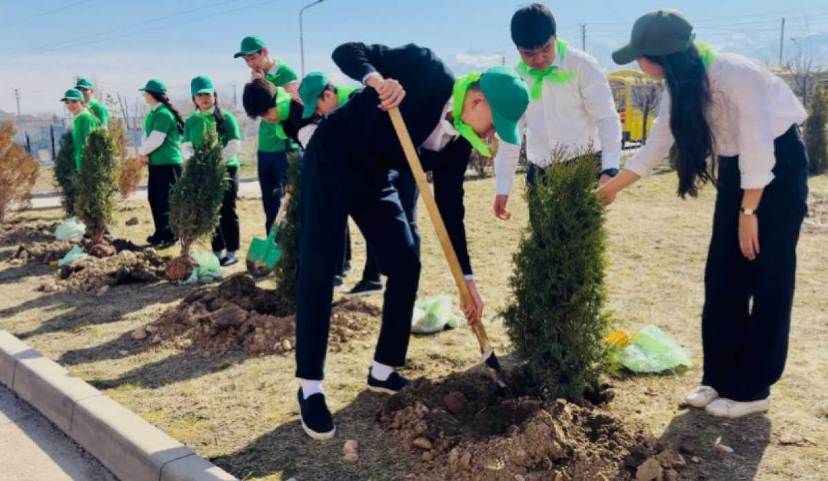 Более 400 деревьев высадили в Алматы в преддверии Наурыза