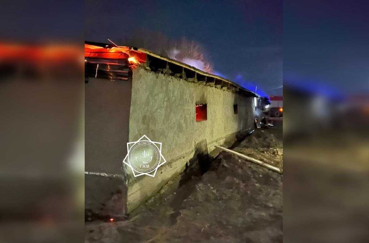 48 голов скота погибли при пожаре в Жамбылской области