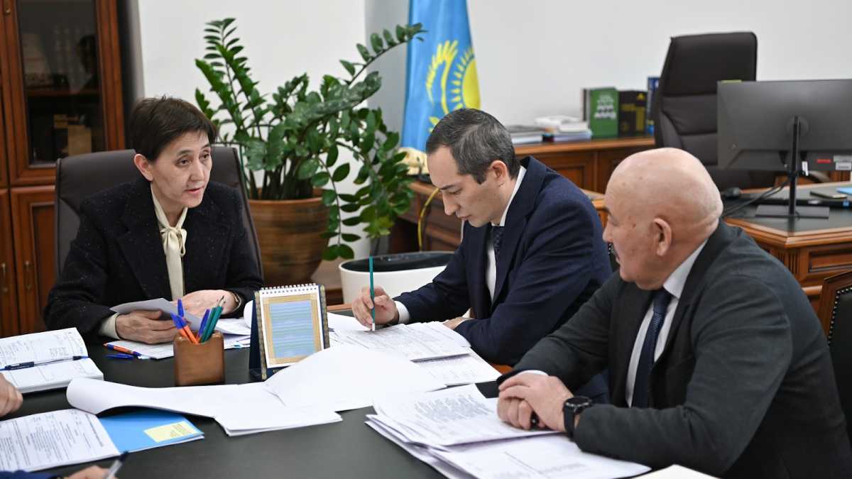 В Правительстве Казахстана рассмотрели ход подготовки к Олимпийским играм