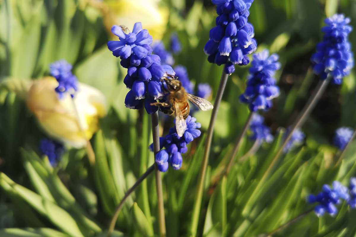 Как будут отдыхать казахстанцы в апреле 2024 года