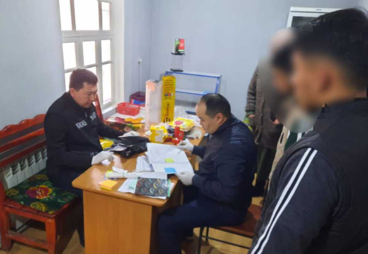 В Туркестанской области задержали группу людей, оказывающую помощь иностранцам в незаконном пересечении границы