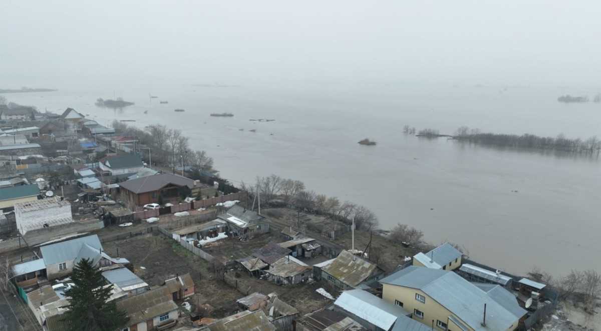 Заявка через eGov: пилотный проект для пострадавших от паводков запустили в Акмолинской области