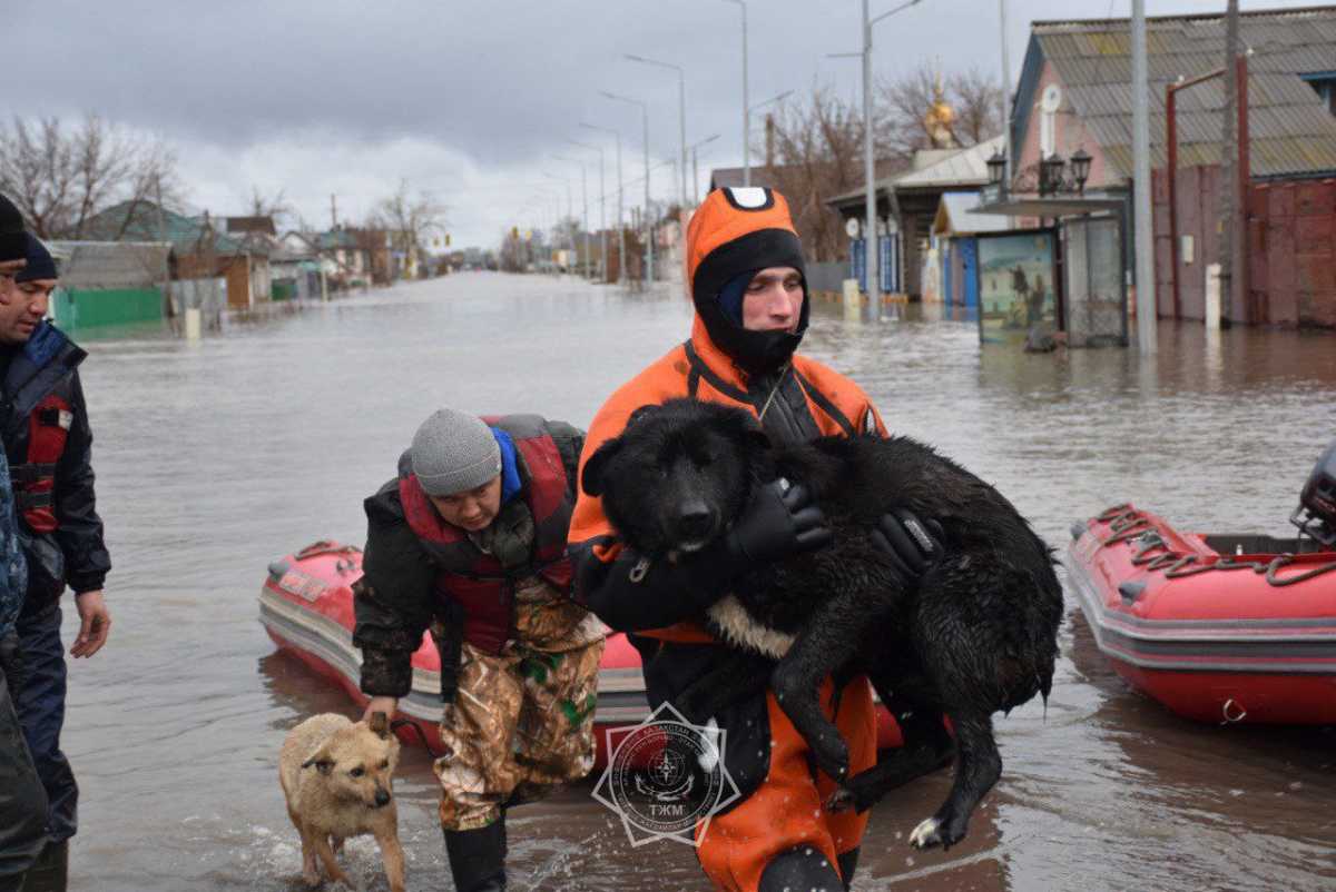 Паводки в Казахстане: что известно к этому часу