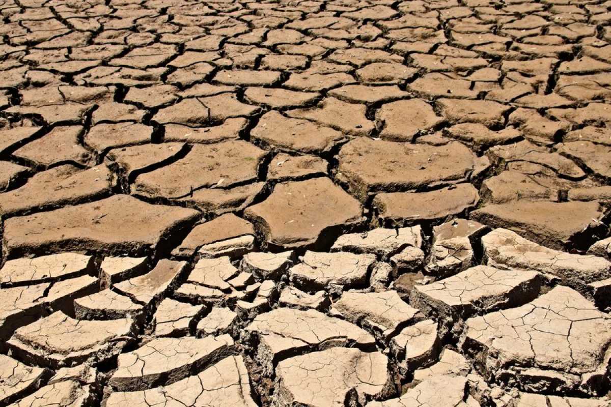 В одном из регионов Казахстана прогнозируют засуху