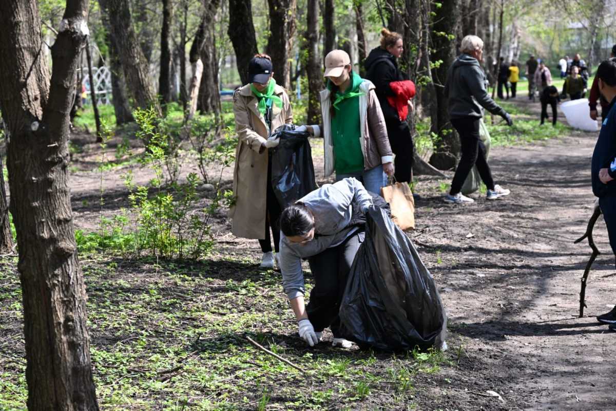 Более 1 тыс. скворечников и 10 тысяч деревьев: все больше алматинцев присоединяются к кампании «Алматы – наш общий дом» за вторую неделю