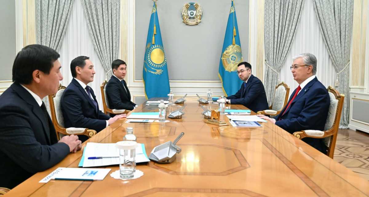 Токаев принял заместителей председателя АНК