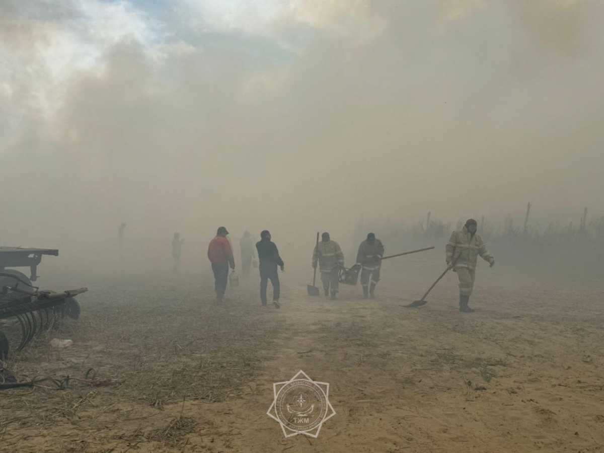 Лесной пожар в Алматинской области - заведено уголовное дело