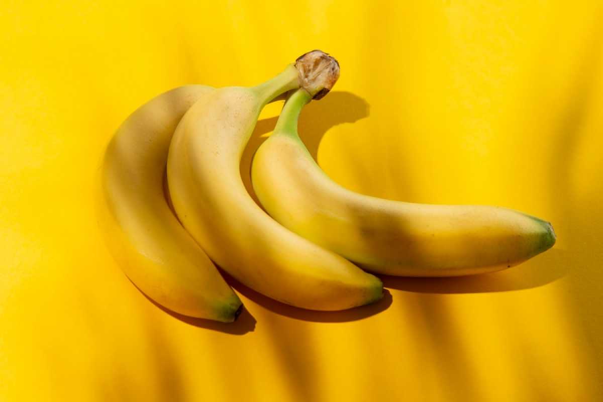 Первый урожай бананов созрел в Туркестанской области