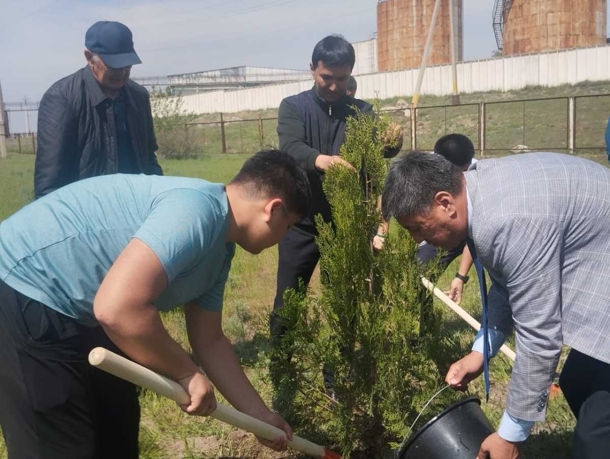 Преемственность поколений: в Жамбылском районе ветераны спорта личным примером приобщили молодых спортсменов к акции