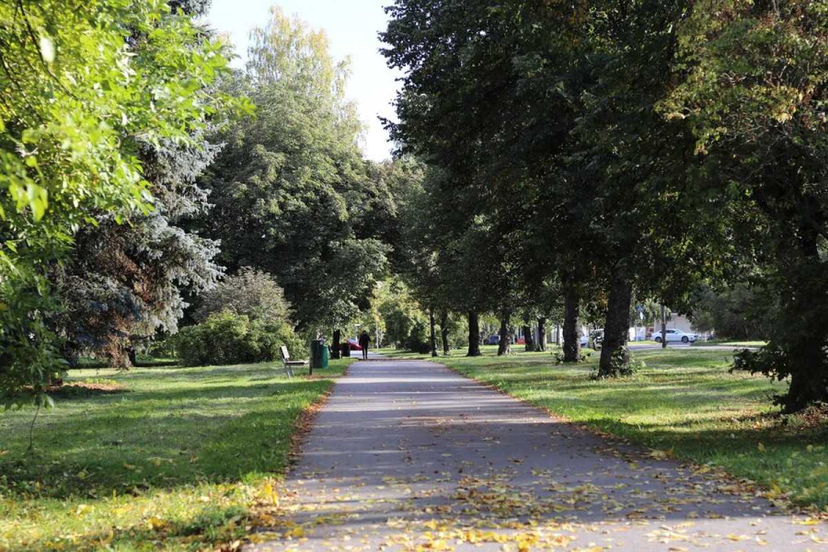 В Павлодаре крупное предприятие едва не завладело землёй городского парка