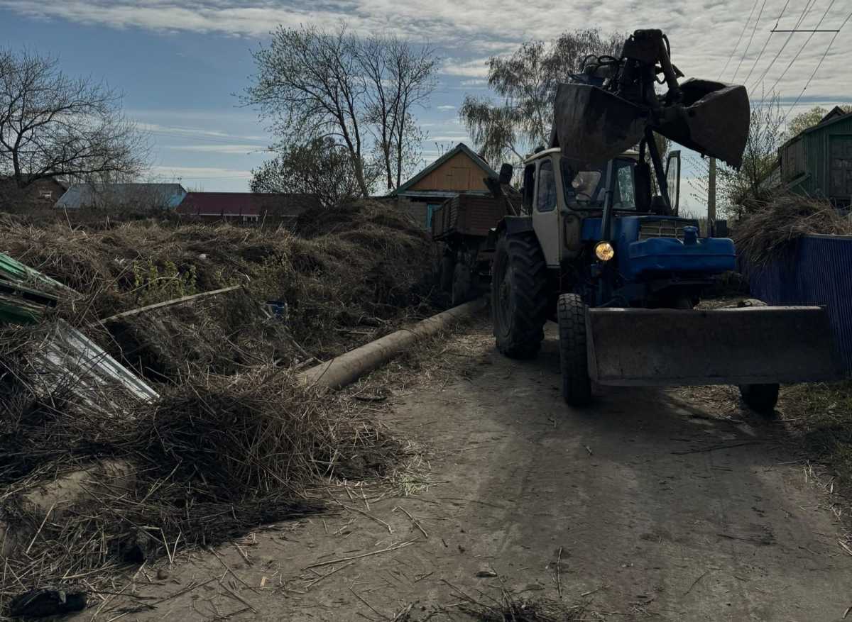 В Костанае в рамках акции 